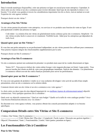 “Comment choisir entre un site vitrine et un site e-commerce avec votre agence ?