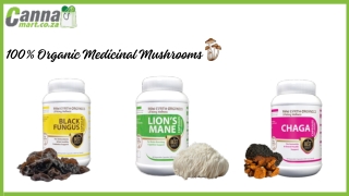 100% Organic Medicinal Mushrooms