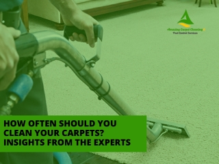 How Often Should You Clean Your Carpets Insights from the Experts