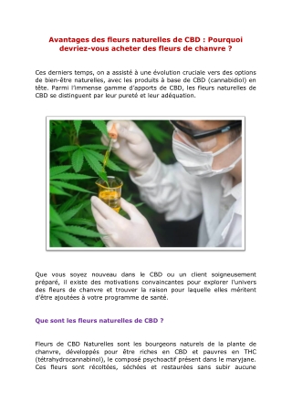 Avantages des fleurs naturelles de CBD  Pourquoi devriez-vous acheter des fleurs de chanvre