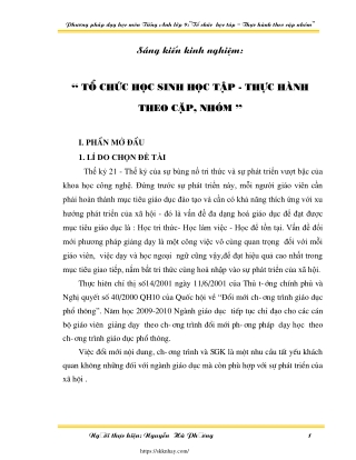 Tổ chức học sinh học tập - thực hành theo cặp nhóm môn Tiếng Anh Lớp 9