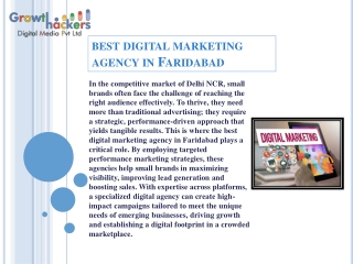 "How the Best Digital Marketing Agency in Faridabad Drives Performance Marketing