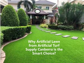 Why Artificial Lawn from Artificial Turf Supply Canberra is the Smart Choice?