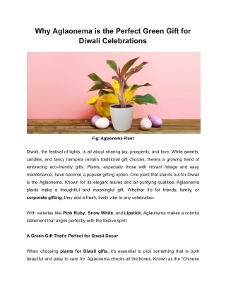 Why Aglaonema is the Perfect Green Gift for Diwali Celebrations