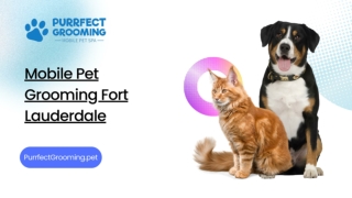 Mobile Pet Grooming Fort Lauderdale