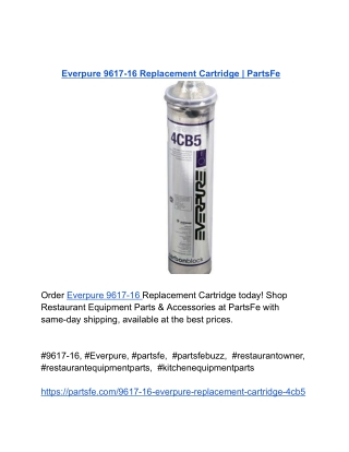 Everpure 9617-16 Replacement Cartridge _ PartsFe