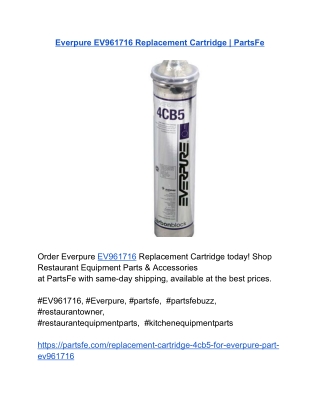 Everpure EV961716 Replacement Cartridge _ PartsFe