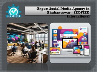 Expert Social Media Agency in Bhubaneswar - SEOFIED