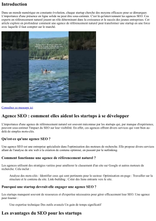 Agence SEO : comment elles aident les startups à se développer