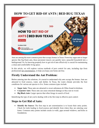 Pest Control for Ants by Bed Bug Texas Termite & Pest Control