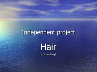 Independent project