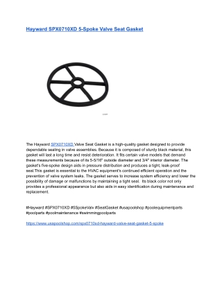 Hayward SPX0710XD 5-Spoke Valve Seat Gasket