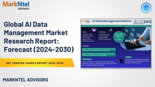 Global AI Data Management Market Research Report Forecast (2024-2030)