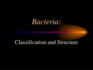 Bacteria: