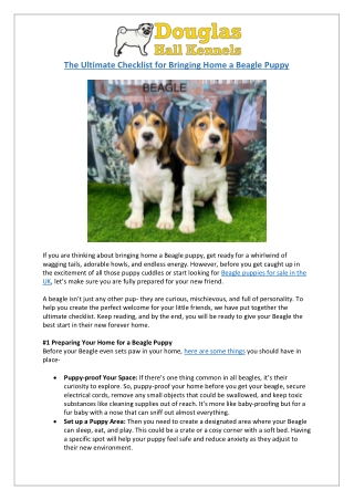 Bringing Home a Beagle? | Essential Checklist for UK Puppy Owners