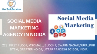 Social Media Marketing Agency in Noida
