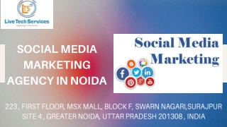 Social Media Marketing Agency in Noida