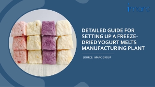 Detailed Project Report on Freeze-Dried Yogurt Melts Manufacturing Plant