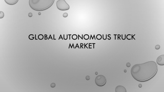 Global Autonomous truck Market