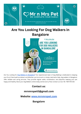 Are You Looking For Dog Walkers in Bangalore