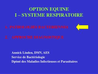 OPTION EQUINE I – SYSTEME RESPIRATOIRE