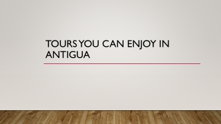 Tours You Can Enjoy in Antigua