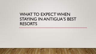 What to Expect When Staying in Antigua’s Best Resorts