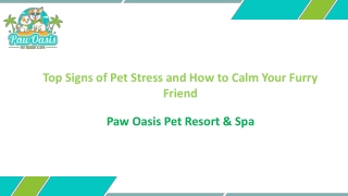 Top Signs of Pet Stress and How to Calm Your Furry Friend