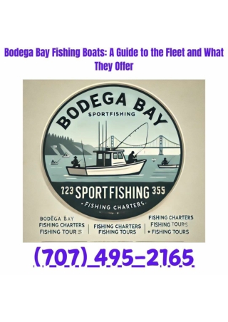 Bodega Bay Fishing Boats A Guide to the Fleet and What They Offer