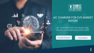 AC Charger for EVs Market – Growth, Trends & Industry Analysis