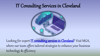 IT Consulting Services in Cleveland