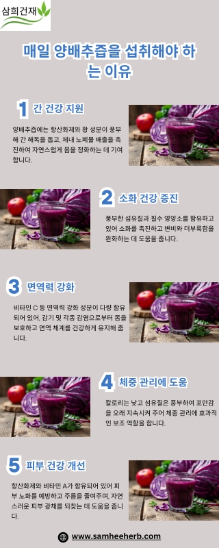 매일 양배추즙을 섭취해야 하는 이유