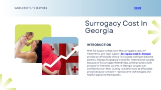Surrogacy Cost  in Georgia | World Fertility Services