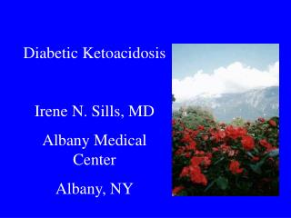Diabetic Ketoacidosis Irene N. Sills, MD Albany Medical Center Albany, NY