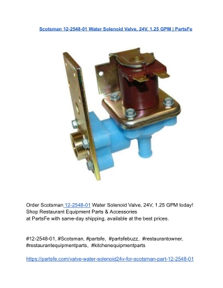 Scotsman 12-2548-01 Water Solenoid Valve, 24V, 1