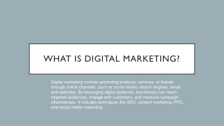 What is digital Marketing ppt