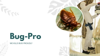 Defend Your Home: BUG-PRO, Your Trusted Pest Control Partner in Lagos.