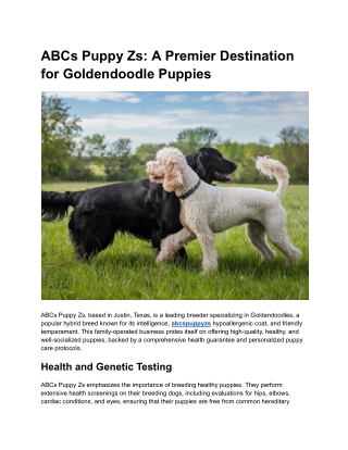ABCs Puppy Zs_ A Premier Destination for Goldendoodle Puppies
