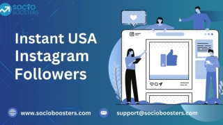 Instant USA Instagram Followers