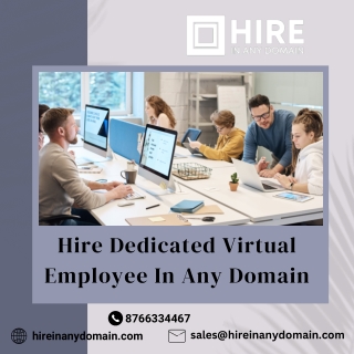 Hire Dedicated Virtual Employee In Any Domain