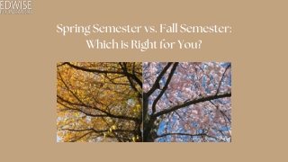 Spring vs. Fall Semester for U.S. Studies.