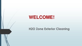 The best service for Driveway Cleaning in Motumaoho