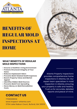 Benefits of Regular Mold Inspections at Home