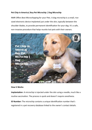 Pet Chip in America Buy Pet Microchip  Dog Microchip