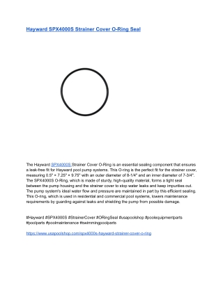 Hayward SPX4000S Strainer Cover O-Ring Seal