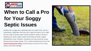 When to Call a Pro for Your Soggy Septic Issues