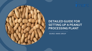 Prefeasibility Report on a Peanut Processing Unit