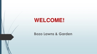The best service for Hedge Trimming in Millwater
