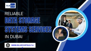 Reliable Data Storage Systems Services In Dubai