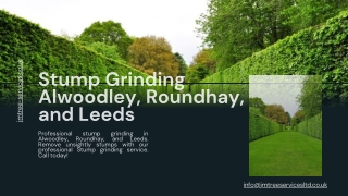 Stump Grinding Alwoodley, Roundhay, and Leeds